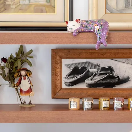 Zenko Διαμέρισμα